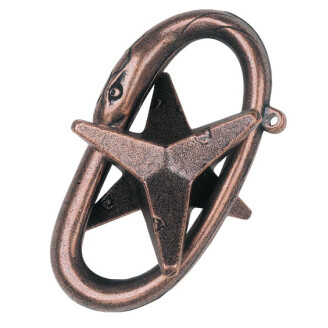 Cast Star image