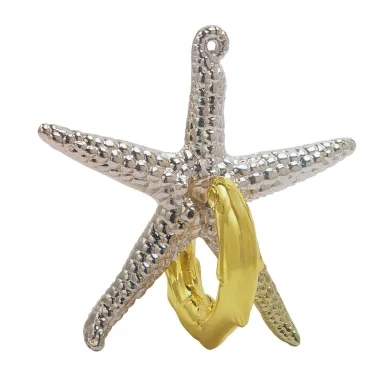 473703-Starfish-01.jpg image