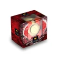 473455 Companion Secret Escape Box 2022
