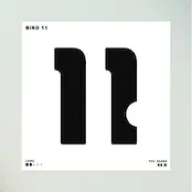 Bird 11 v2 image