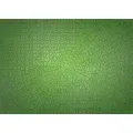 Krypt neon green 2
