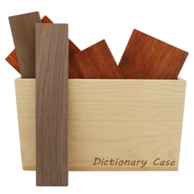 Dictionary Case 1 image