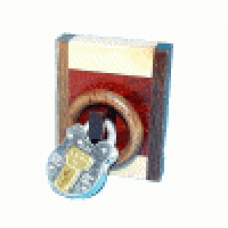 Lock and ring (Schloss) kuva